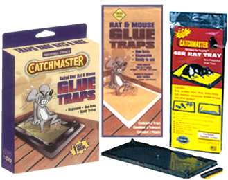 Glue Trap
