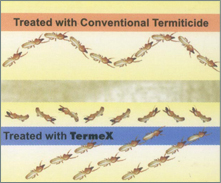 Treated with Termex